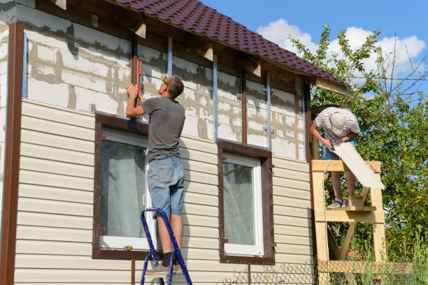Best Engineered Wood Siding  in Shenandoah, IA