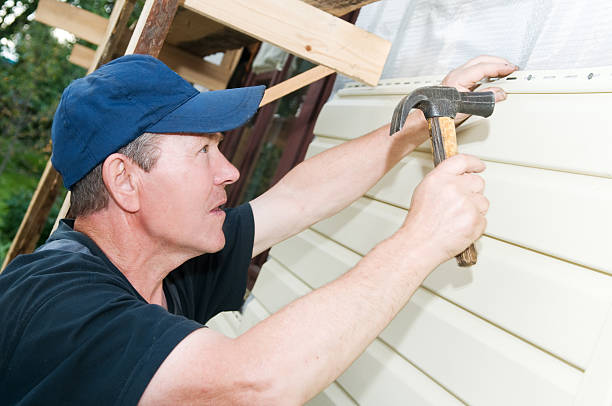 Best Custom Trim and Detailing for Siding  in Shenandoah, IA
